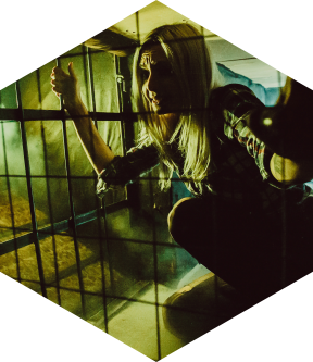 store/s/e65268ed-192c-49fe-8589-eb0a34f89645.png