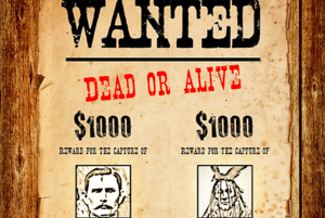 store/s/e747690a-1e40-4453-94eb-7ffbb102652d.png