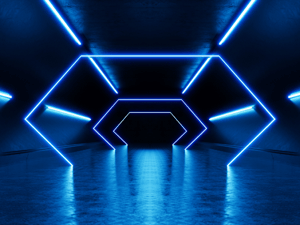 store/s/e89505fd-d2c0-4cc5-b81e-8b93e109de85.png