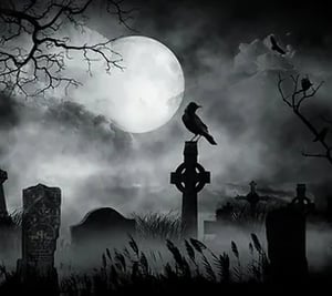 store/s/ea2c65d3-7092-4f6b-84f0-2fe2eaab9500.webp