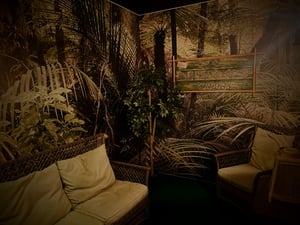 store/s/ee022083-6400-4c89-839a-919c60fb0dd0.jpg