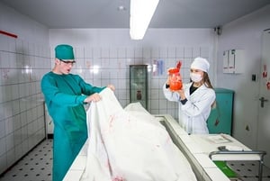 store/s/ee860776-e394-455d-b1c8-9c5a9c4b05c6.jpg