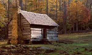 store/s/f0a2f3db-333b-4924-9b1a-678fb7d970f9.jpg