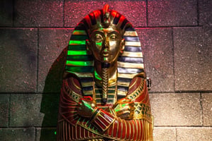 store/s/f116039e-6651-4a7f-8036-ba01c6f47c5a.jpg
