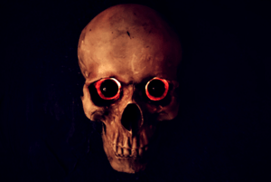 store/s/f24e7057-4e0a-4cab-be04-b3cf6b04786e.png