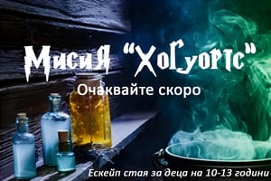 store/s/f4ef7754-e1db-4cb7-95a3-a607d281ca0d.webp
