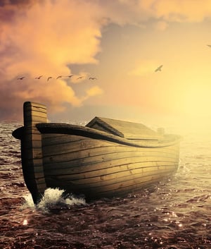 store/s/f868a307-241e-4621-9abe-7c690d2e7ebe.webp
