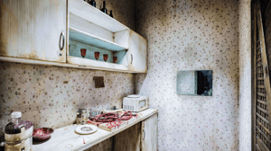 store/s/f8855b48-e790-4f7b-bc36-fed87a0a611b.png