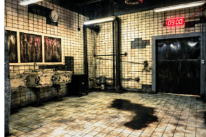 store/s/f968cab1-c61f-4caa-91cf-b1d9b1e56721.png