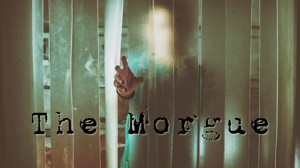 store/s/f97432fe-ce99-4227-ae65-5bad9ef5c143.png