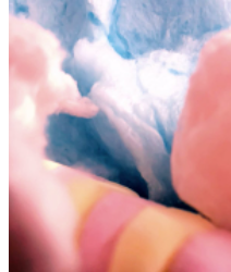 store/s/fa3c511a-39b1-455e-85c1-7d2fbaf9d494.png