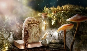 store/s/fa43632d-697e-4ad9-8a6e-9cbc8f74e508.webp