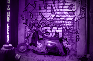 store/s/fb3613b0-aa46-4073-8c71-33000fbfcb42.png