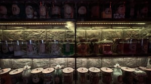store/s/fc1c7fed-e2a7-4e67-b86b-ad679b857f46.jpg