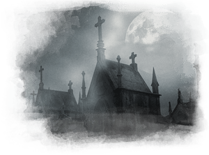 store/s/fcb85eb5-b4a4-4a5a-841f-69da88ece004.png