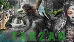 store/s/fcd33a8f-465c-4681-af3c-08483ed65e0c.webp