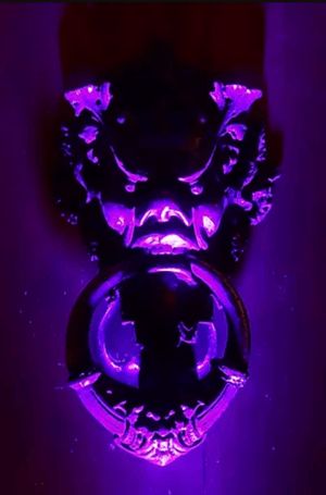 store/s/fdaca4f1-93d7-40f1-9fdd-e44f0b528167.png