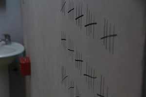 store/s/fe5bb5ac-e6f4-49ed-890c-d959197774e8.jpg