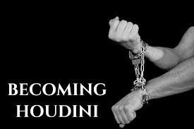 store/s/ff2c6d73-9242-4a02-8080-c8c7bdf8baa1.jpeg