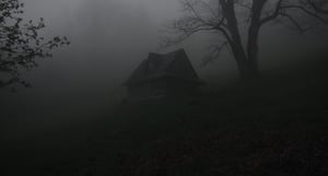 store/s/ffef5b73-4f26-4b39-9d4d-e945b2fc38be.jpg