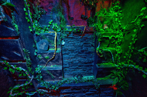 store/s/lost_city-3.jpg