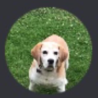@PL00T00