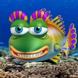 @fishfishtime