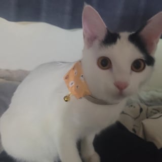 @2573Kiwi