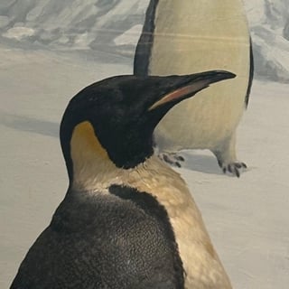 @Penguingod7200