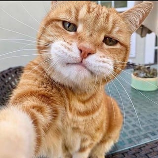 @alexg