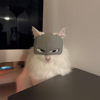 @cnimbus