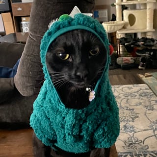 @Lucipurr