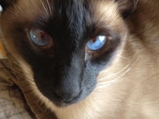 @Minou45
