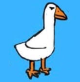 @sillygoose2500