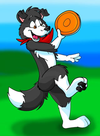 @Dizfoley