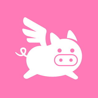 @FlyPig