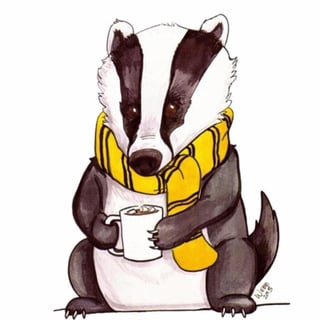 @GamerBadger82