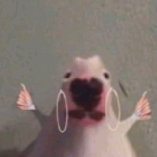 @staticslater
