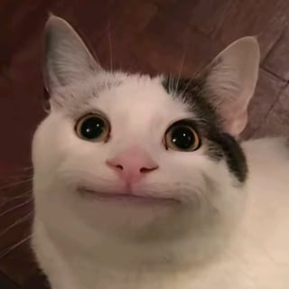 @FLSZXD