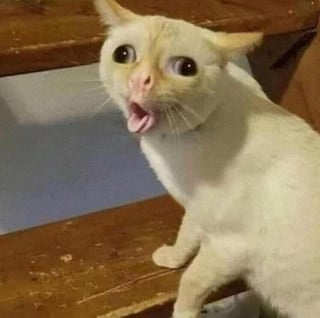 @Ojwillkillyou