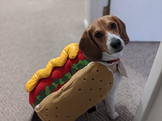 @SnackTax