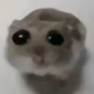 @akph5000