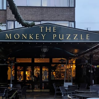 @monkeypuzzle