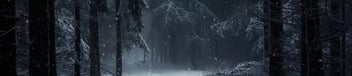 Beware the Yeti