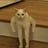 @Jeezesramirez