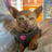 @CTalbert1914