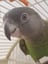 @LockChicken
