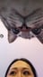 @meshell