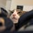 @symphonypanda
