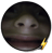 @Orangemandan